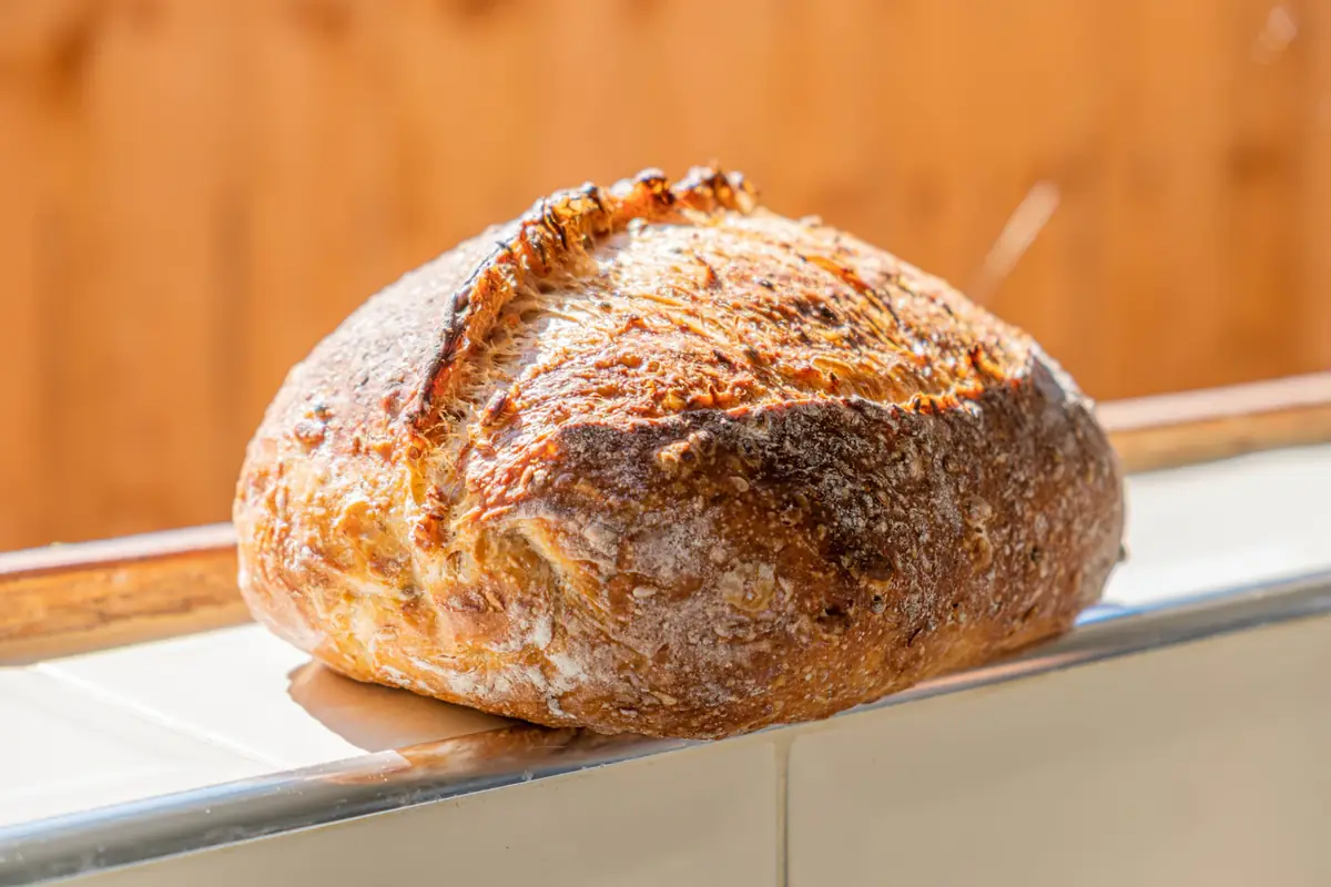 Ambachtelijk rond brood met een krokante korst