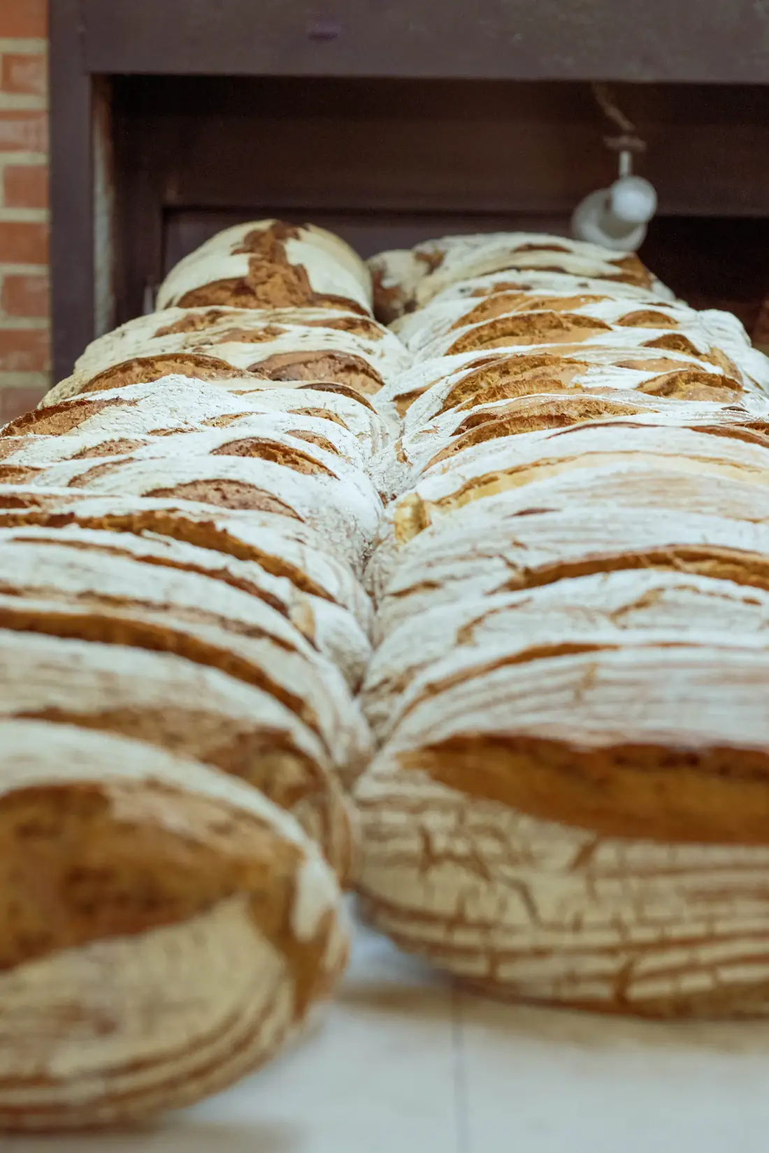 Rijen versgebakken broden met een bloemige korst